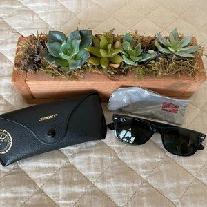 Ray Ban New Wayfarer Classic_Green Lenses